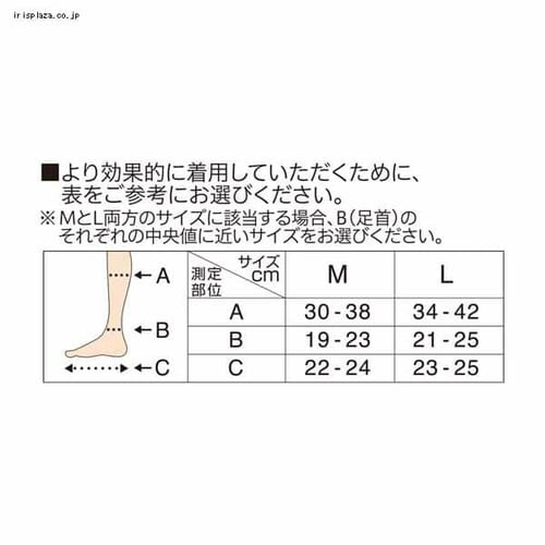 y[ցzQȂ烁fBLbg V[g M x_[ ysz_6