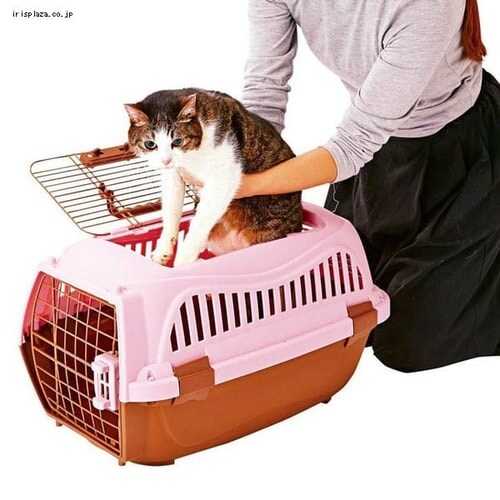 yeBI 2hA X}CL[ M sN  L L[_4