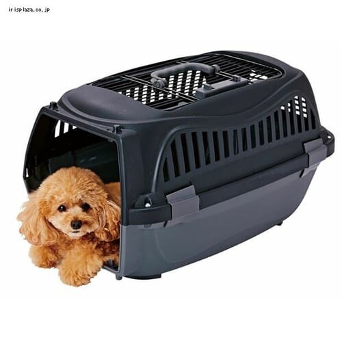 yeBI 2hA X}CL[ M sN  L L[_6