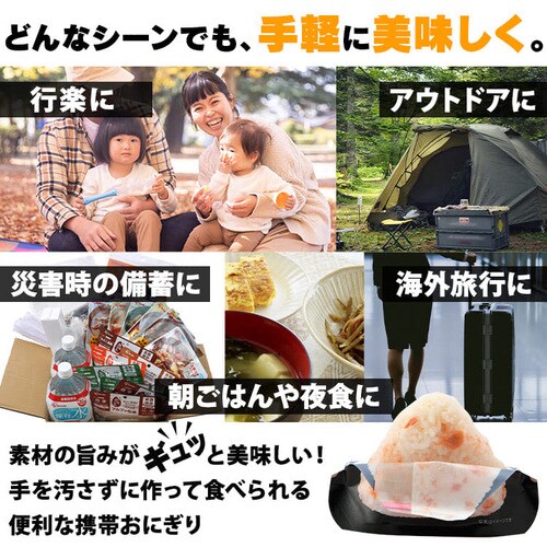 12個セット】 尾西食品 携帯おにぎり 4種類×各3個 非常食 防災食 保存