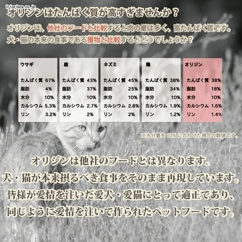 オリジン 6フィッシュ キャット5.4kg _8