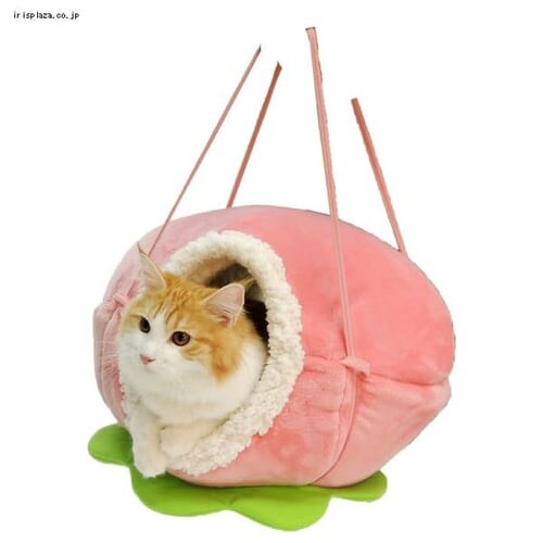 ペッツルート ニャンともハンモックの実 きいちご _3