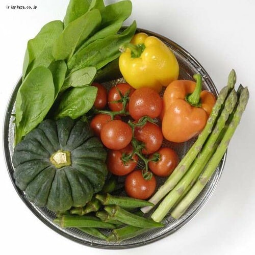 VJ Hy ~Ug[Zbg 30cm SJ6526 _7