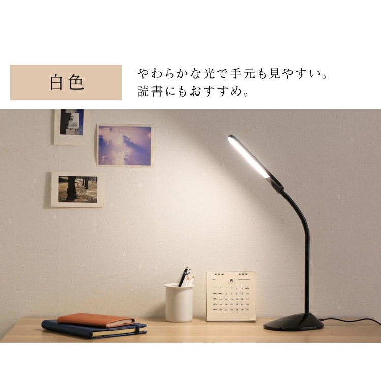 テーブルライト デスクライト 省エネ 角度調整 PDL-101-W ホワイト 7132613 │アイリス