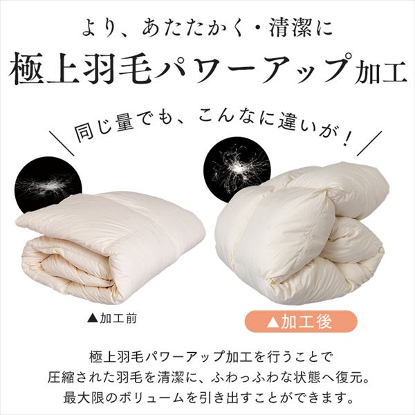 羽毛布団 シングルロング WGD93% 400dp 1.0kg ベージュ 【直送