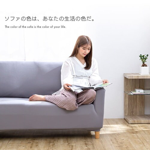 ソファカバー2人掛け 3人掛け 肘付き Scf 30 全10色 プラザセレクト f アイリスプラザ アイリスオーヤマ公式通販サイト