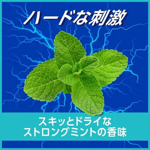 _~ XgO~g 1080ml yvUZNgz_8