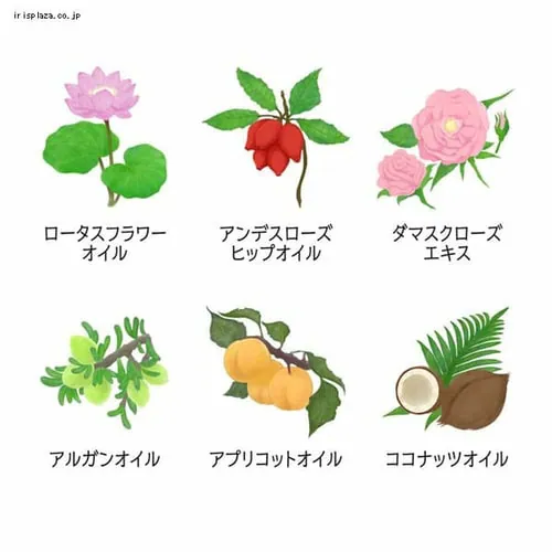 ユニリーバ ラックス プレミアム ボタニフィーク ダメージリペア シャンプー つめかえ用 350g _6