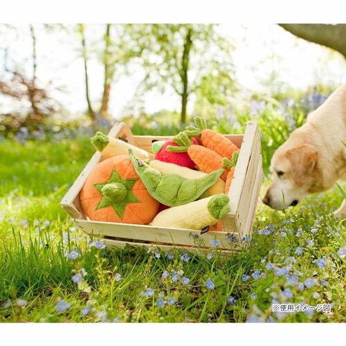 ���[�N���� �K�[�f���t���b�V��BOX�Z�b�g�i15����j �y�v���U�Z���N�g�z_3