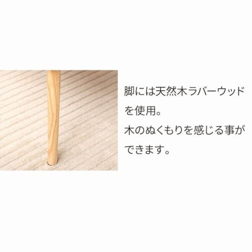 Z^[e[u ؐ CTL-0604 EH[ibg _12