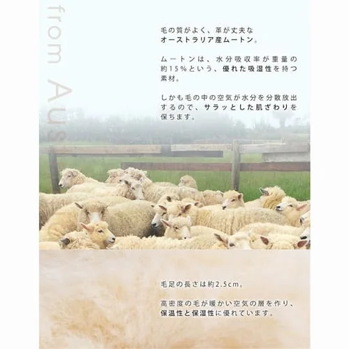 ムートンスリッパ 全5色2サイズ【プラザセレクト】_5