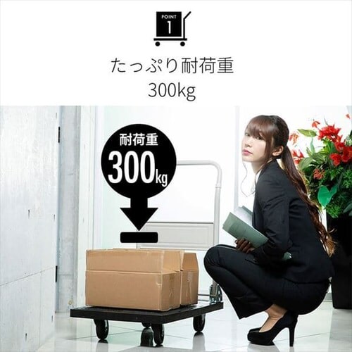   ܂肽 vX`bN ω׏d300kg É PHC-300 _7