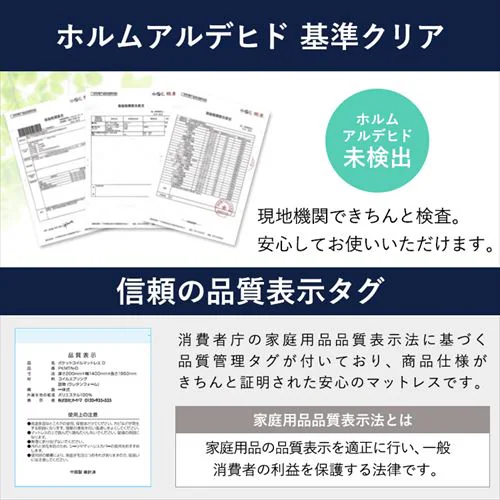 }bgX S/SD/D |PbgRC 20cm S3F_17