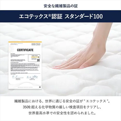 }bgX S/SD/D |PbgRC 20cm S3F_18