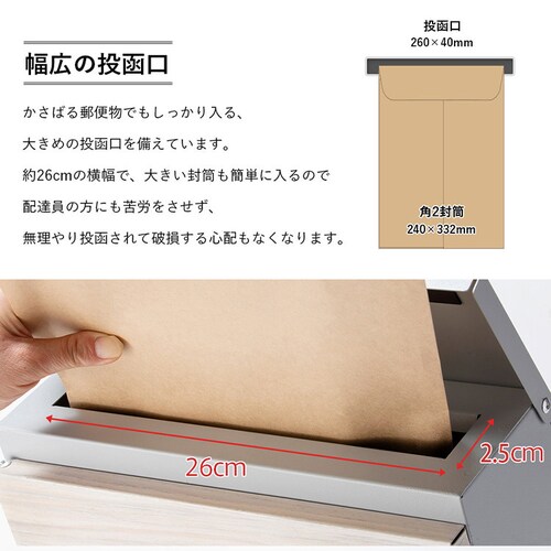  ؖڒ|Xg PPMP-31L J/i`_8