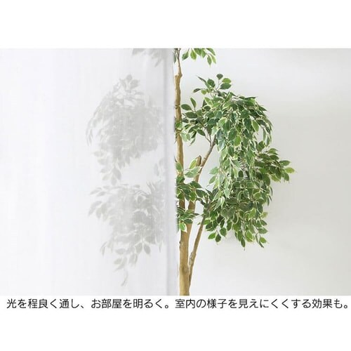 y[XJ[eZbgzJ[e 4g 2Ռ 100p~135p uE yvUZNgz_5