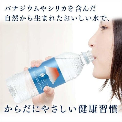 ~cERrobW 48{ xmJAPANWATER 500ml oiWEVJVRyszyszyvU}[Pbgz_12