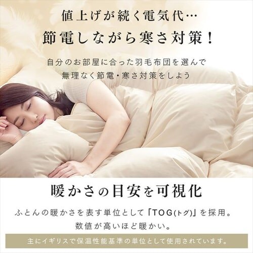 �H�ѕz�c �Z�~�_�u�������O WGD93% 400dp 1.2kg �x�[�W�� �y�����z �y������s�z_5