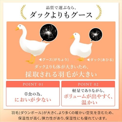 �H�ѕz�c �Z�~�_�u�������O WGD93% 400dp 1.2kg �x�[�W�� �y�����z �y������s�z_8