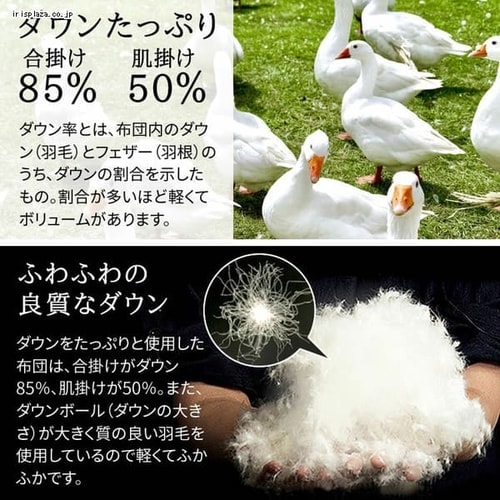 羽毛布団 Wdd50 85 2枚合わせ Sdl 無地 ベージュ Pfa19rp2134 プラザセレクト アイリスプラザ アイリスオーヤマ公式通販サイト 羽毛布団 Wdd50 85 2枚合わせ Sdl 無地 ベージュ Pfa19rp2134 プラザセレクト アイリスプラザ アイリスオーヤマ公式通販サイト
