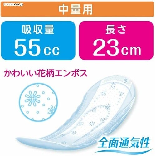 {NVA |CY PApbh ʗp(yCg)55cc 42 (̌yAp) _5