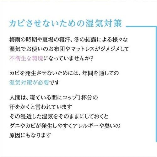 TEIJIN 帝人ベルオアシス 除湿シート(防ダニ加工/AG消臭機能付) クイーン ブルー 53/BJKX178.0000 _2