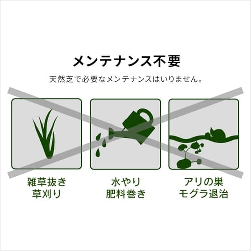 人工芝 2m×5m 芝丈30mm IP-3025 7158419 │アイリスプラザ│アイリス