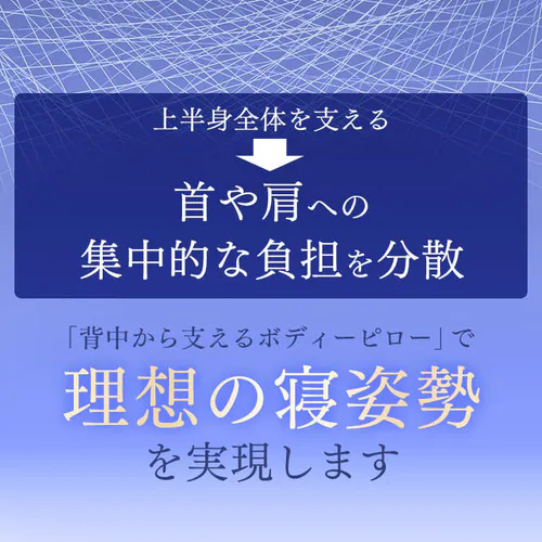 wx{fBs[ VO IRS19BDP sN_8
