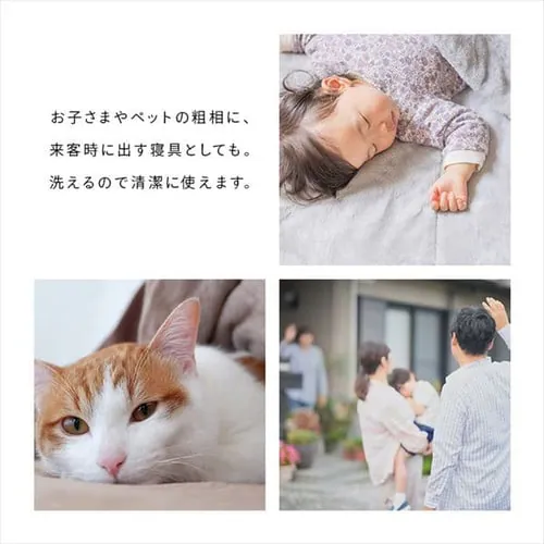 Y ~zc VO 9cm RۖhL yCY[u[ _4