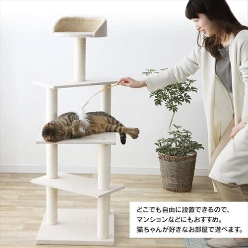 Lbg^[ CCCT-4355S S3F_5