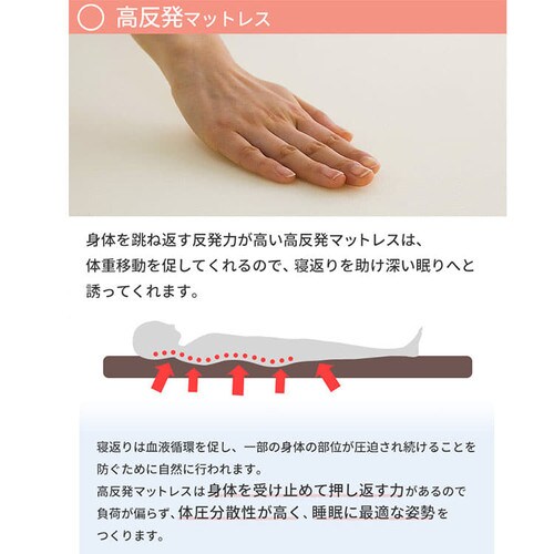 E^}bgX15.5cm O܂tbg VO _[NuE_9