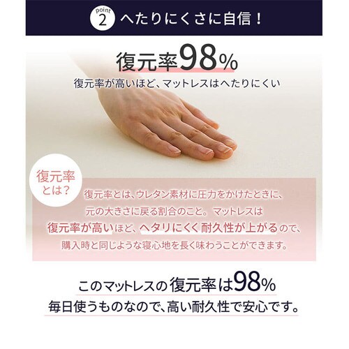 E^}bgX15.5cm O܂tbg VO _[NuE_12