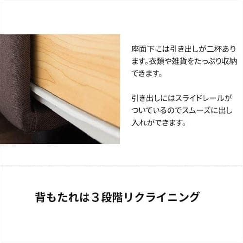 ソファ 2人掛け 引出・テーブル付ソファベッド DTSB-1810