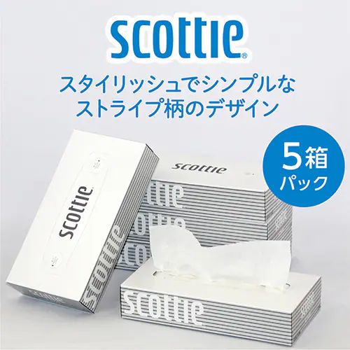 y60z XRbeB eBbV 400 (200g) 5 ~12@{_2