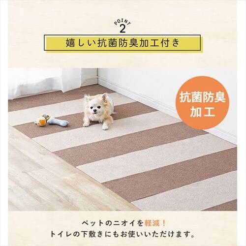 YȂz^C}bgi50j ATCP-25 ~bNX_8