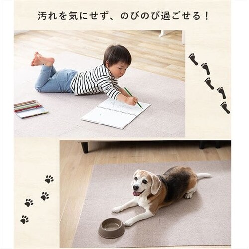 YȂz^C}bgi50j ATCP-25 ~bNX_11