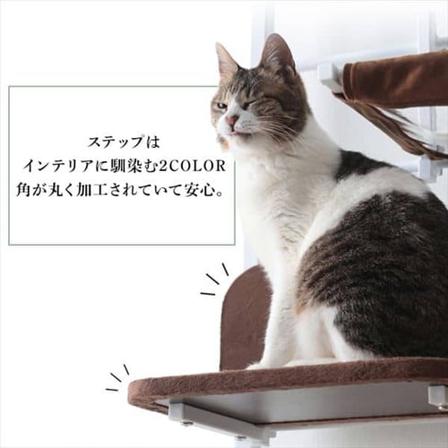 キャットウォークプラス 【プラザセレクト】 7164508│アイリスプラザ│アイリスオーヤマ公式通販サイト