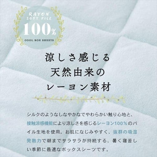 {bNXV[c NC[ [ ڐG CGRBX-16200 S6F_2
