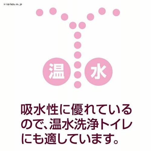 剤 GG[ C[i gCbgy[p[t[vg2{ 46m~12[ _u pv100% ؂₮t[̍ _5