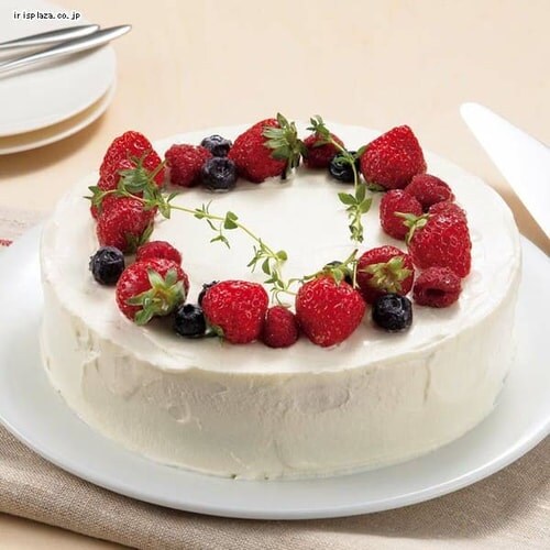 VtHEfR[VP[LĂ^ 20cm 40066 _7