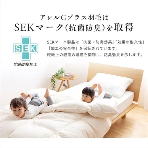 羽毛布団  WDD93% 1.2kg セミダブルロング 【直送】 【プラザセレクト】_15