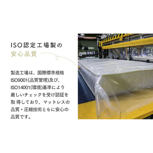 y󂠂z}bgX _u |PbgRC 12cm PTM12-D  _15
