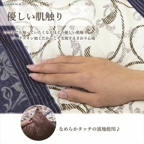 |zc 205~205 lCr[ ysz_3
