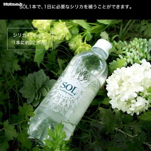 48本 シリカ炭酸水sol ソール天然水仕込み 500ml プラザセレクト 代引不可 アイリスプラザ アイリスオーヤマ公式通販サイト