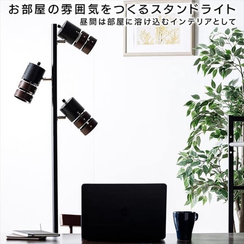 Philips スタンドライト ブラック 553mm 楽天市場】【在庫限り】アングルポイズ(ANGLEPOISE) フロア