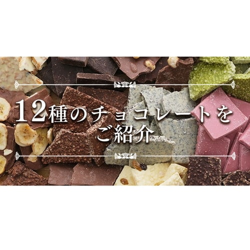 クーベルチュール割れチョコミックス 12種 1kg 【プラザセレクト】