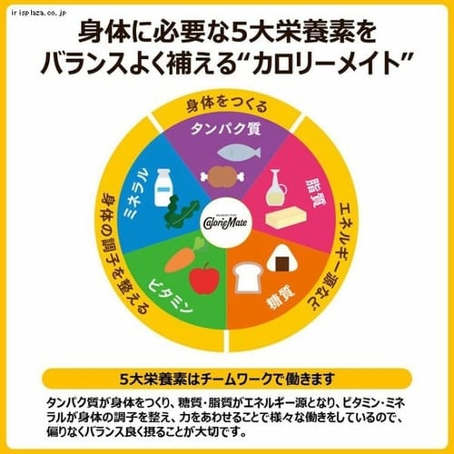 大塚製薬 6食 カロリーメイトブロック 4本入り 全5種類 プラザセレクト プラザマーケット f アイリスプラザ アイリスオーヤマ公式通販サイト