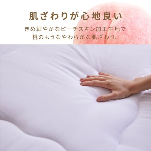 ~zc VO O܂ 10cm 3w\  ItzCg _7