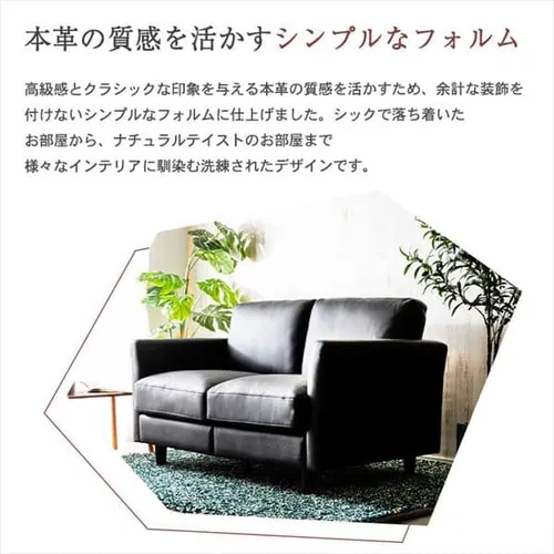 ポケットコイル本革ソファ 2P PLSF-2 全2色【プラザセレクト】_14