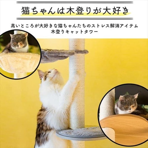 キャットタワー 突っ張り ナチュラル KCCT‐244 7180948